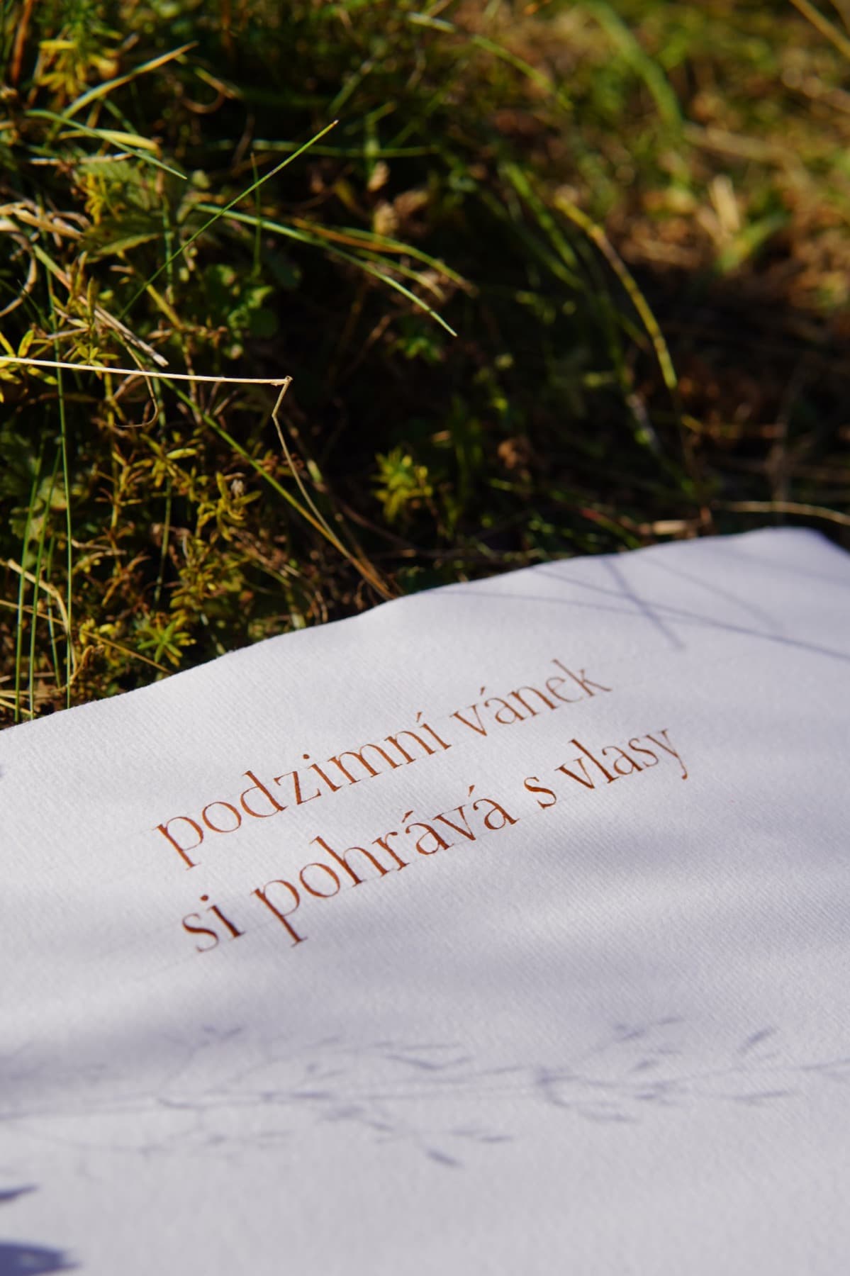 Citát „Podzimní vánek si pohrává s vlasy“ v trávě