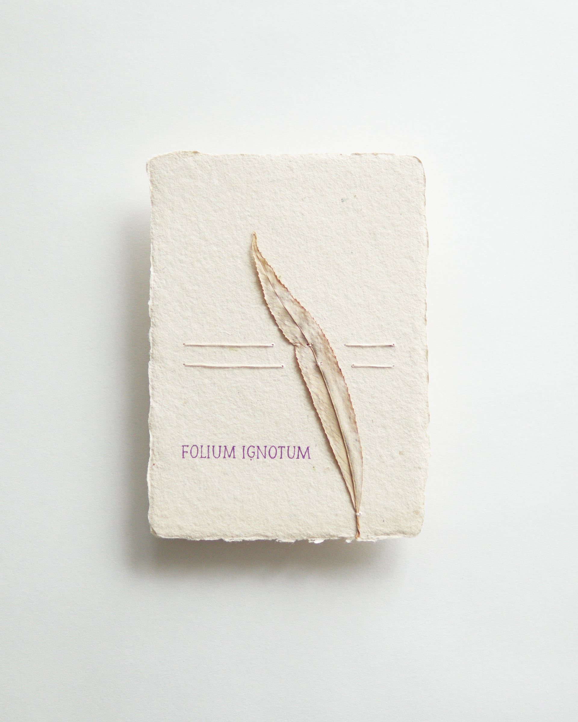 Ruční papír se suchým listem, vyšitými linkami a nápisem Folium ignotum.