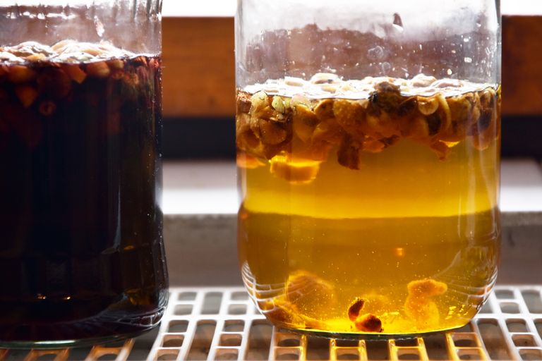 fermentace dubenek